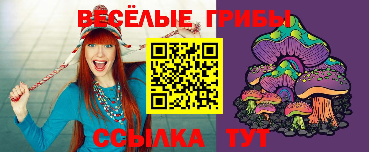Псилоцибиновые грибы Cubensis Новороссийск