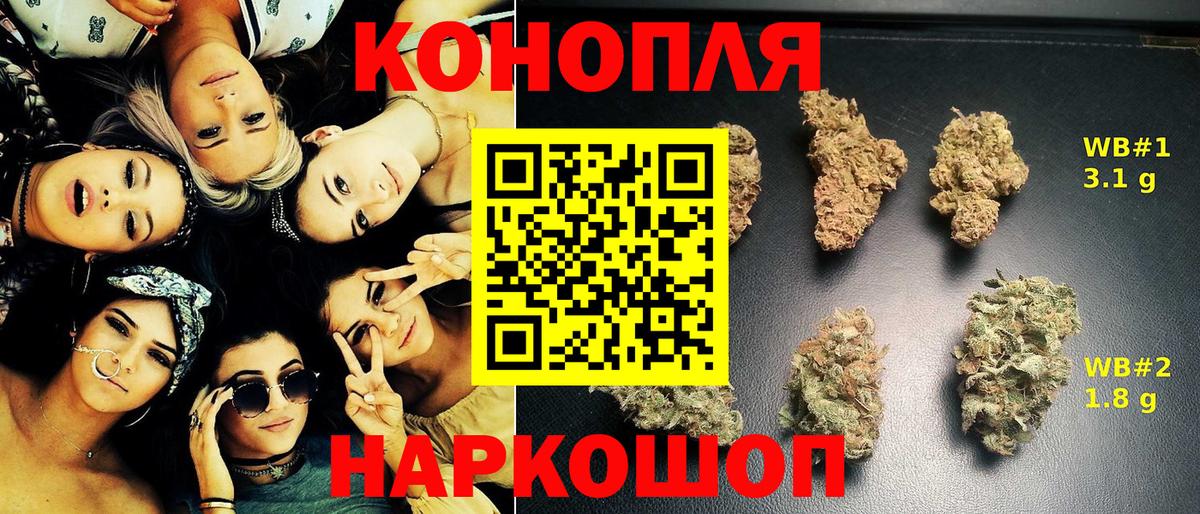Каннабис OG Kush Новороссийск